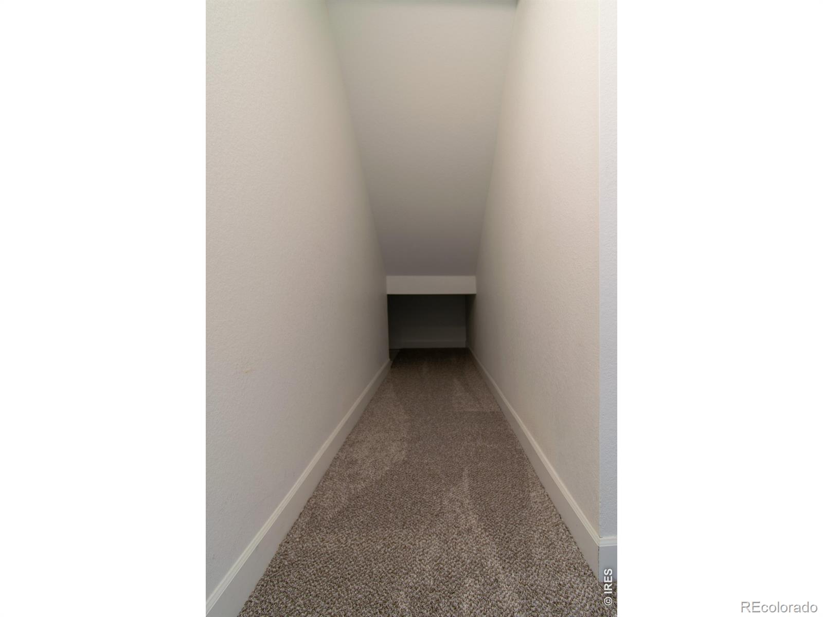 MLS Image #43 for 5371  kellan way,timnath, Colorado