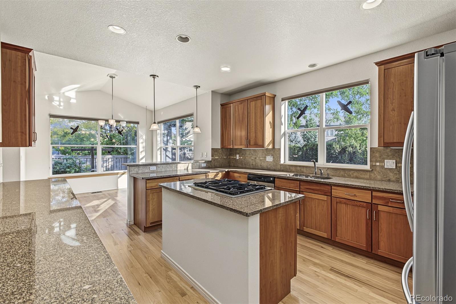 MLS Image #11 for 1524  henry court,longmont, Colorado