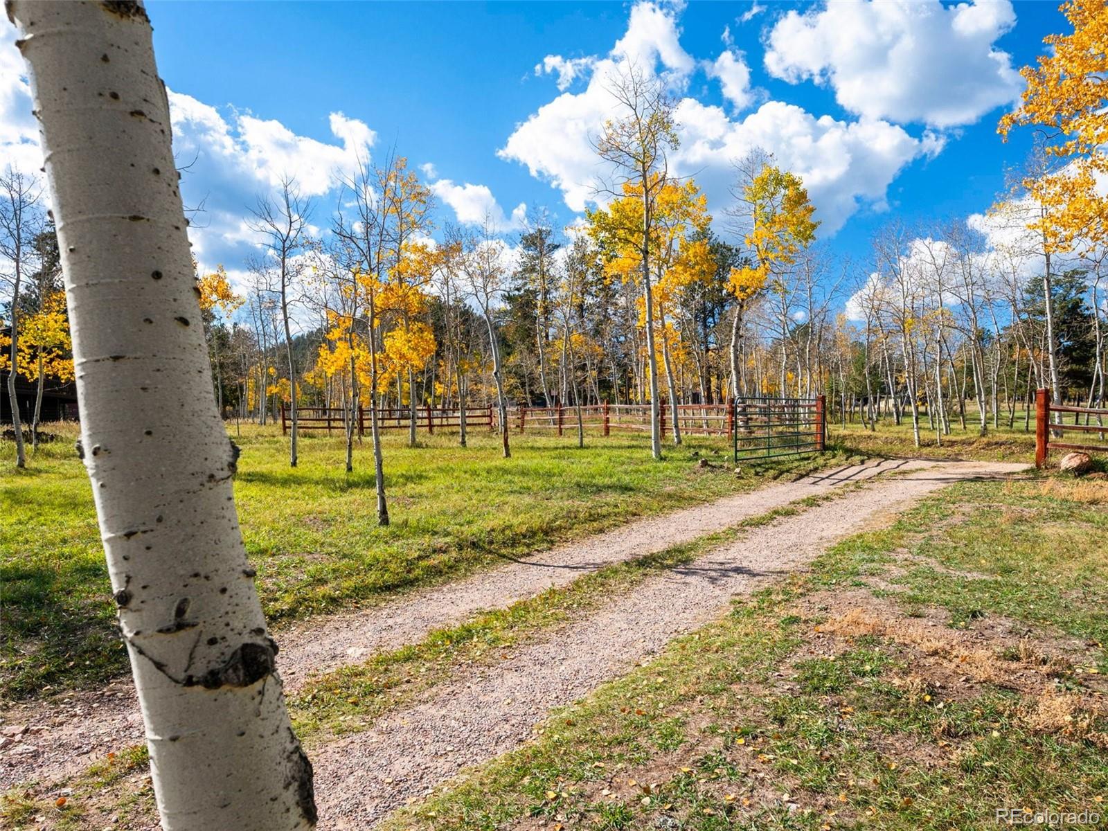 MLS Image #3 for 196  beaver trail,bailey, Colorado