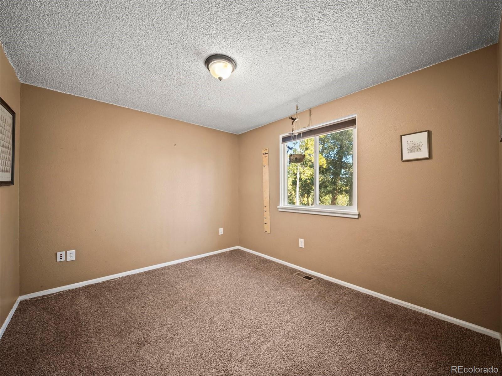 MLS Image #32 for 196  beaver trail,bailey, Colorado
