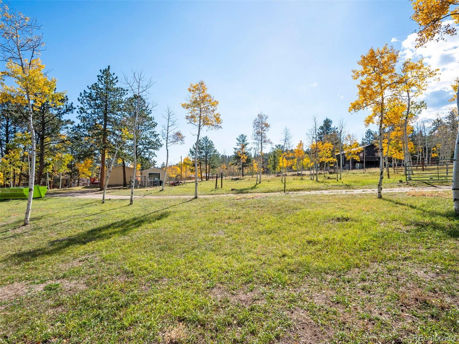 MLS Image #4 for 196  beaver trail,bailey, Colorado