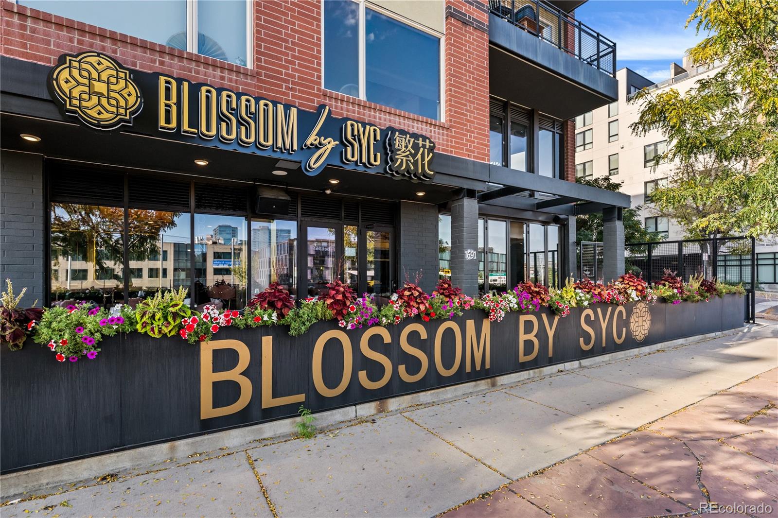 MLS Image #45 for 3217  quivas street,denver, Colorado
