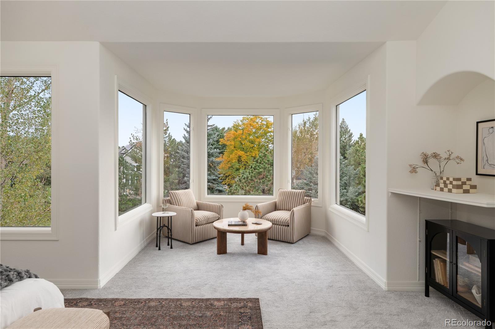 MLS Image #20 for 10797 s monaco street,littleton, Colorado