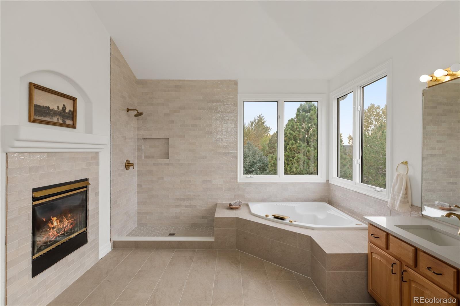 MLS Image #22 for 10797 s monaco street,littleton, Colorado