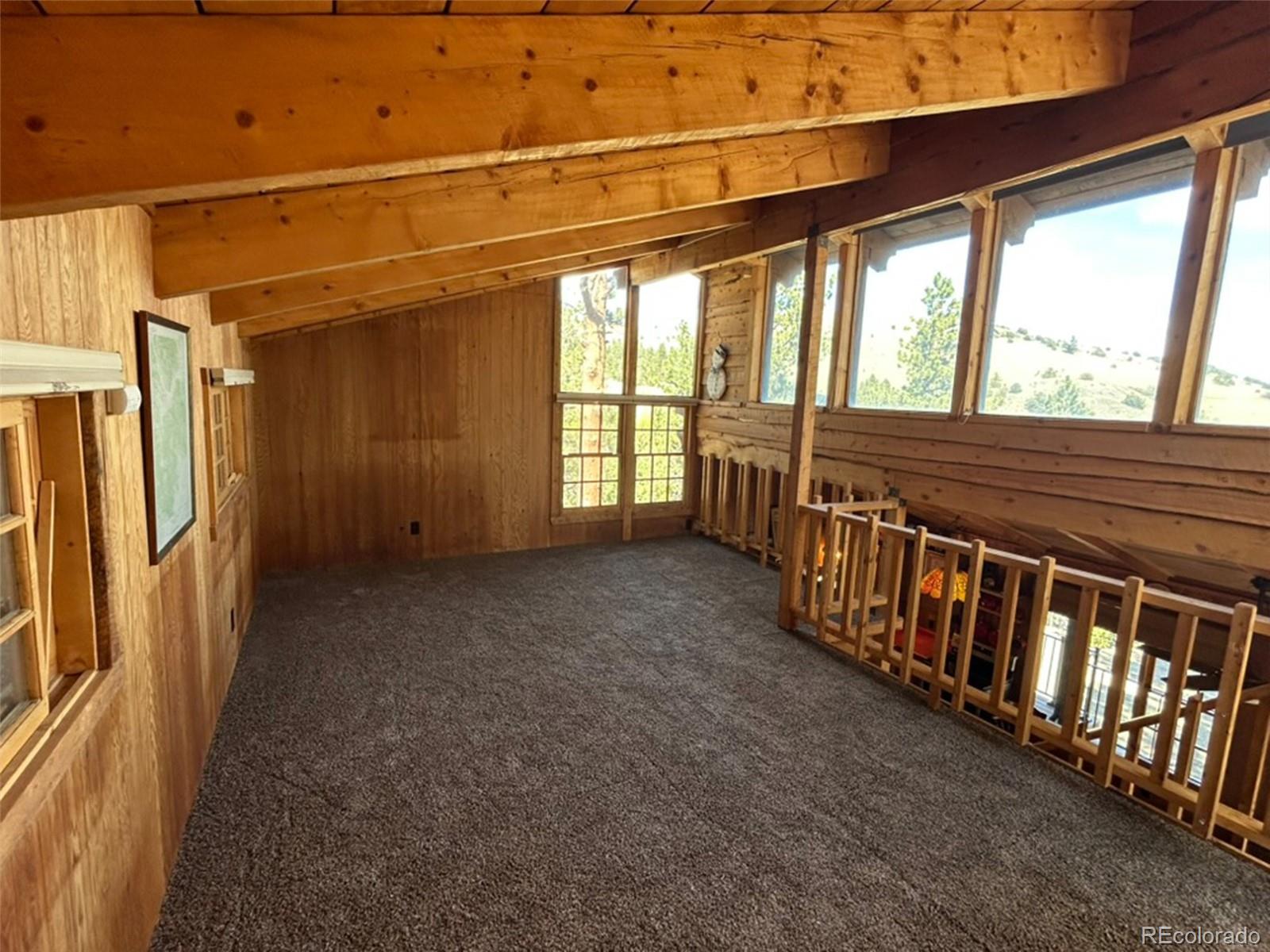 MLS Image #14 for 30101  county road 46aa ,villa grove, Colorado