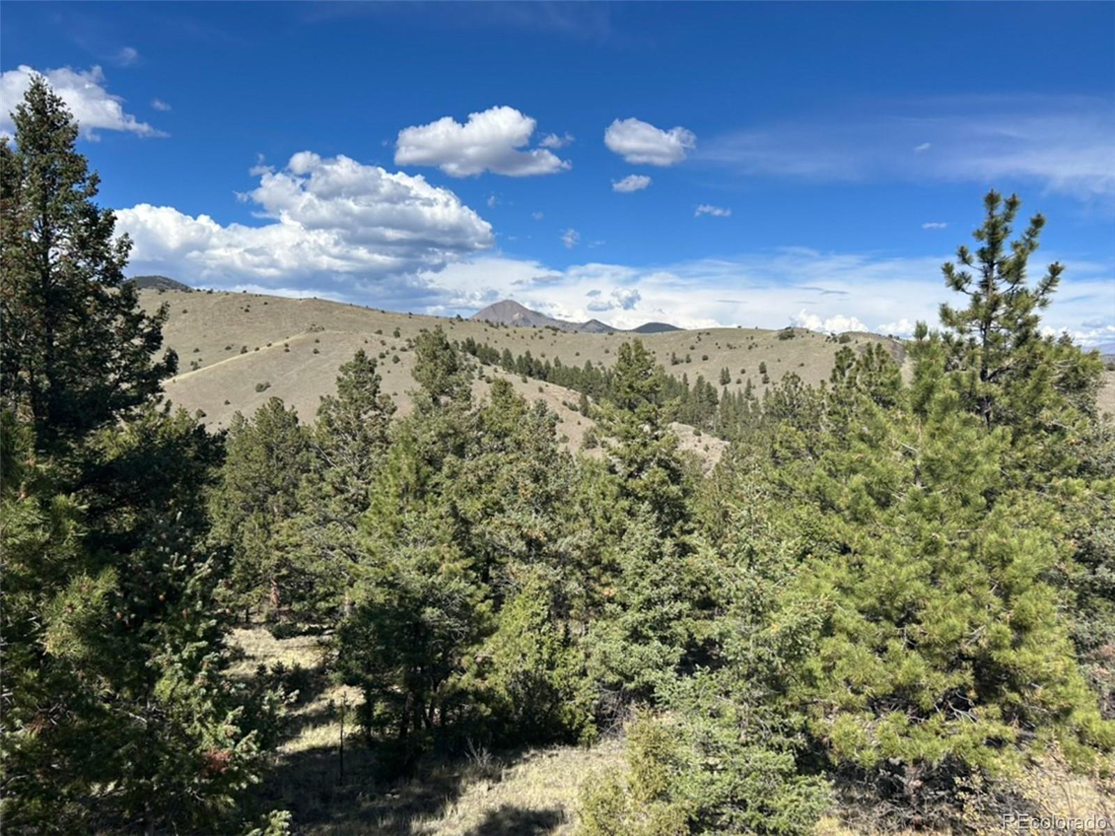 MLS Image #16 for 30101  county road 46aa ,villa grove, Colorado