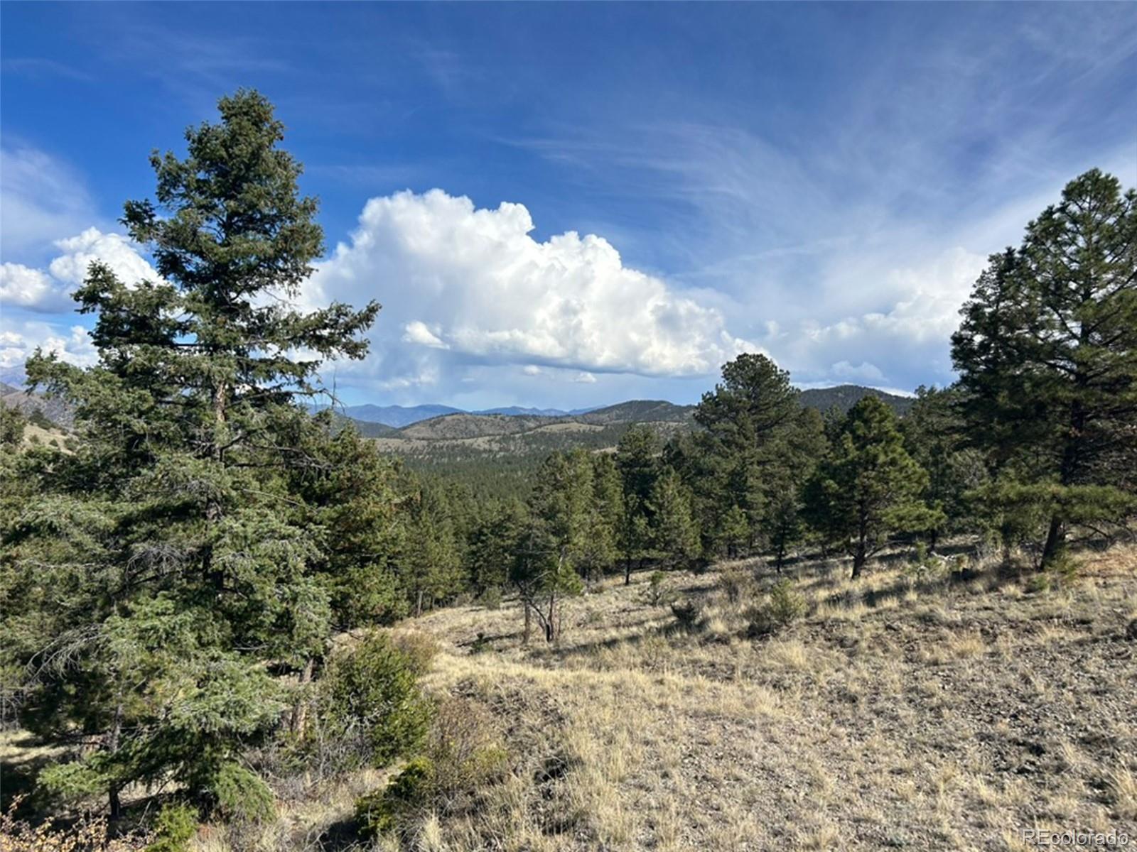MLS Image #17 for 30101  county road 46aa ,villa grove, Colorado
