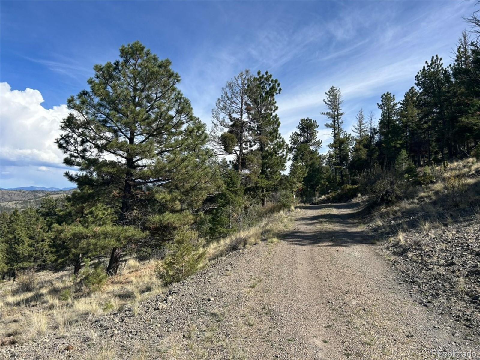 MLS Image #18 for 30101  county road 46aa ,villa grove, Colorado