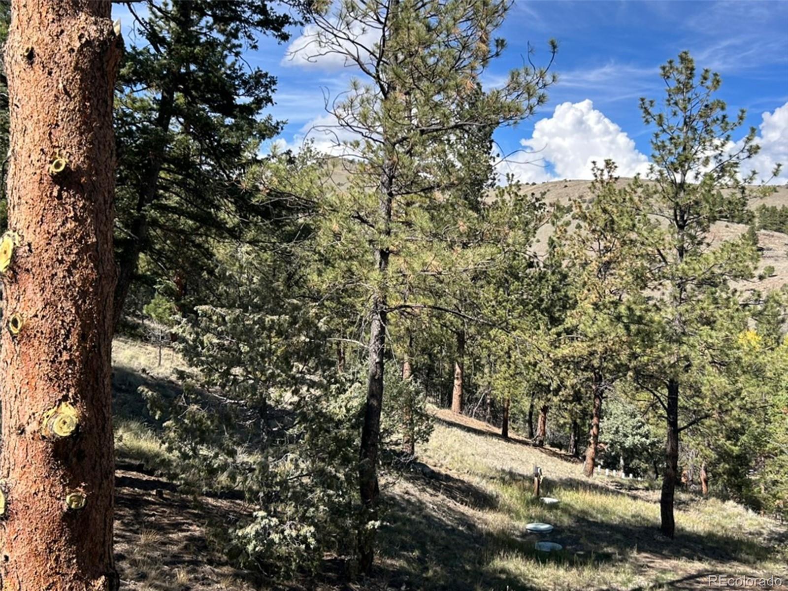 MLS Image #19 for 30101  county road 46aa ,villa grove, Colorado