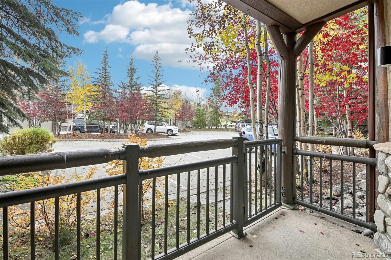 MLS Image #19 for 33  broken lance drive,breckenridge, Colorado