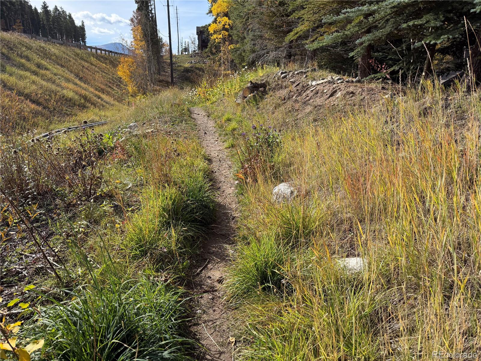 MLS Image #27 for 33  broken lance drive,breckenridge, Colorado
