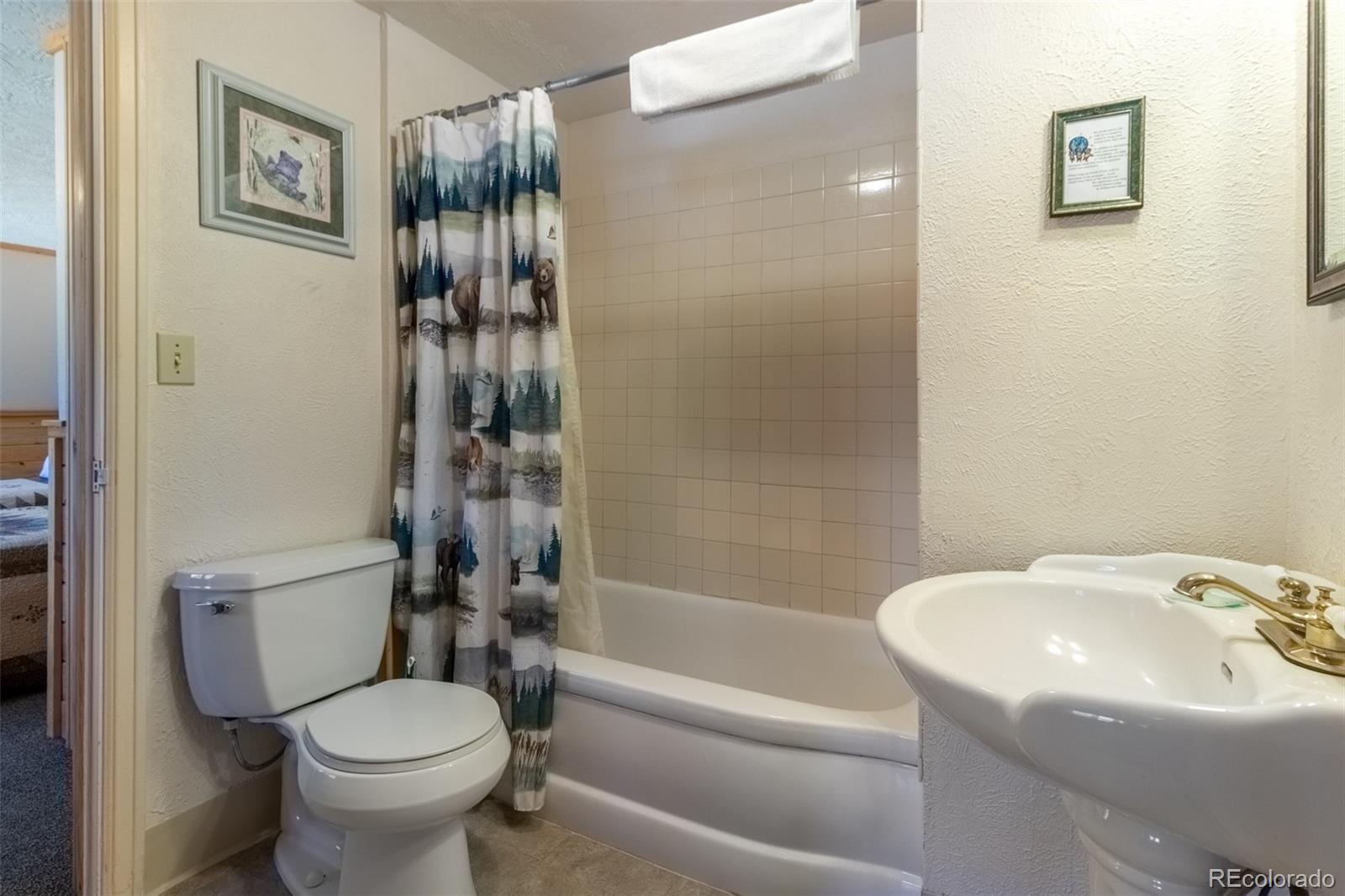 MLS Image #6 for 604  marina drive,grand lake, Colorado