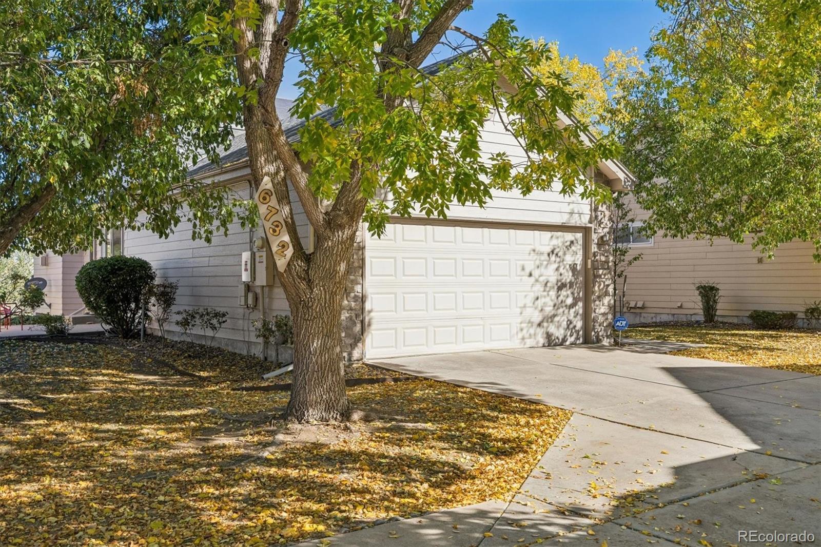 MLS Image #3 for 6732  kilmer court,arvada, Colorado