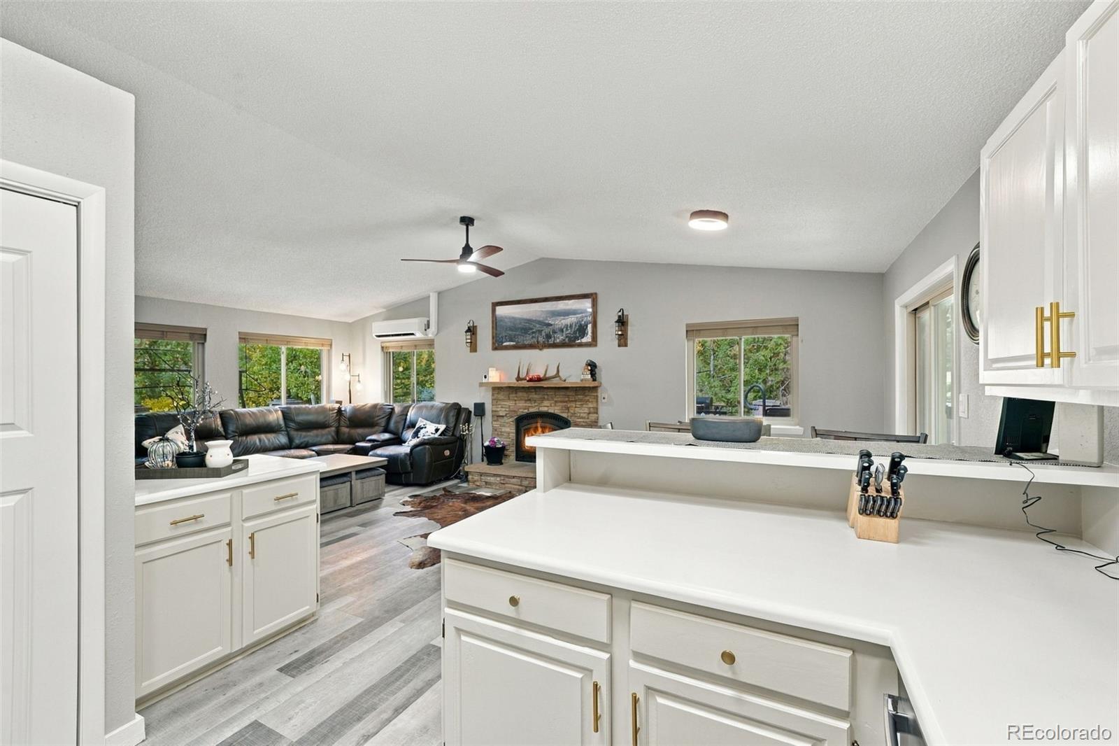 MLS Image #14 for 11490  marks drive,conifer, Colorado