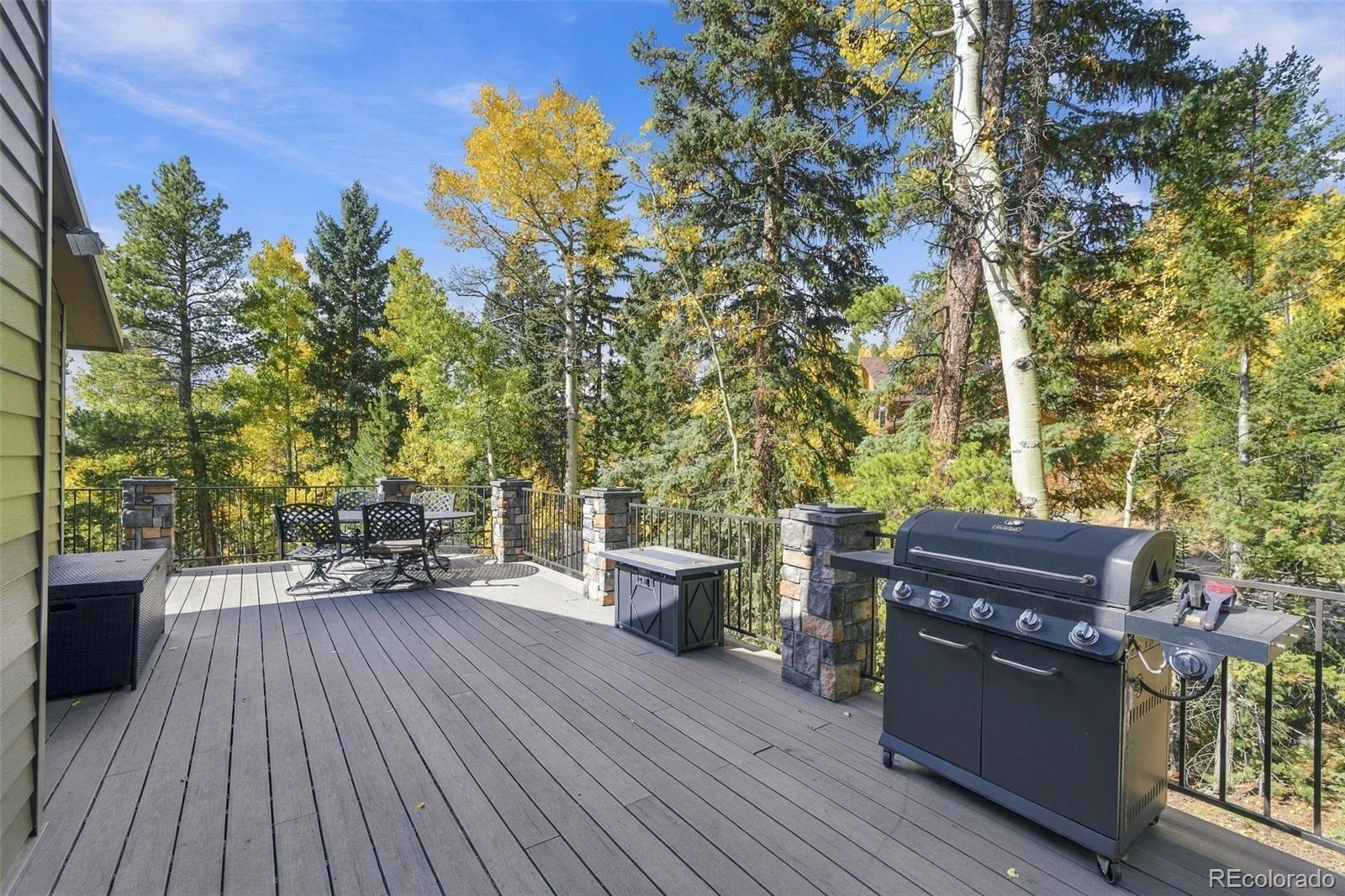 MLS Image #26 for 11490  marks drive,conifer, Colorado