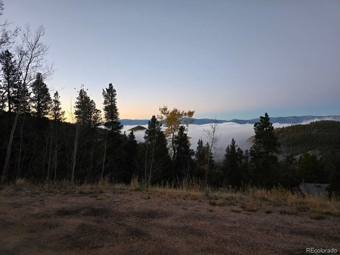 MLS Image #41 for 11490  marks drive,conifer, Colorado