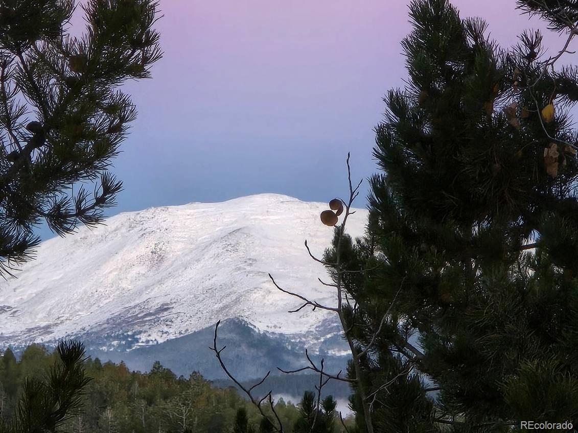 MLS Image #42 for 11490  marks drive,conifer, Colorado