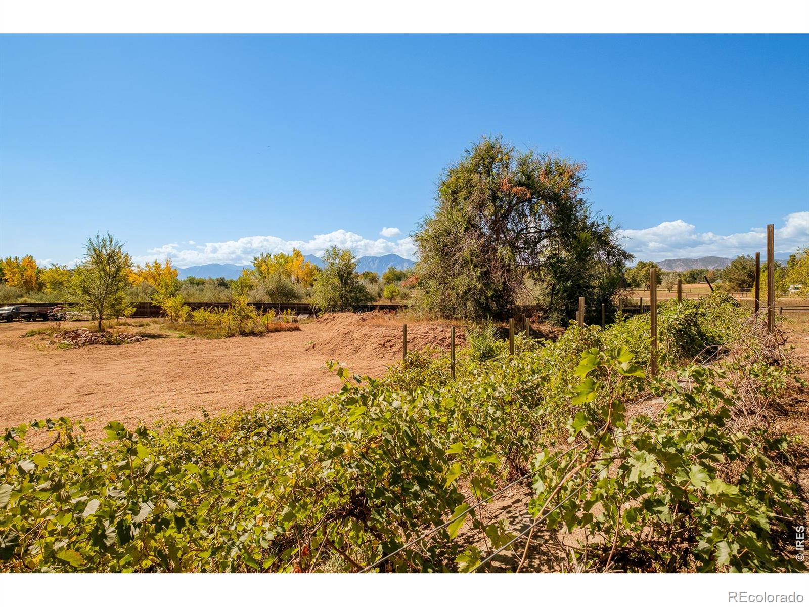 MLS Image #22 for 3796  63rd street,boulder, Colorado
