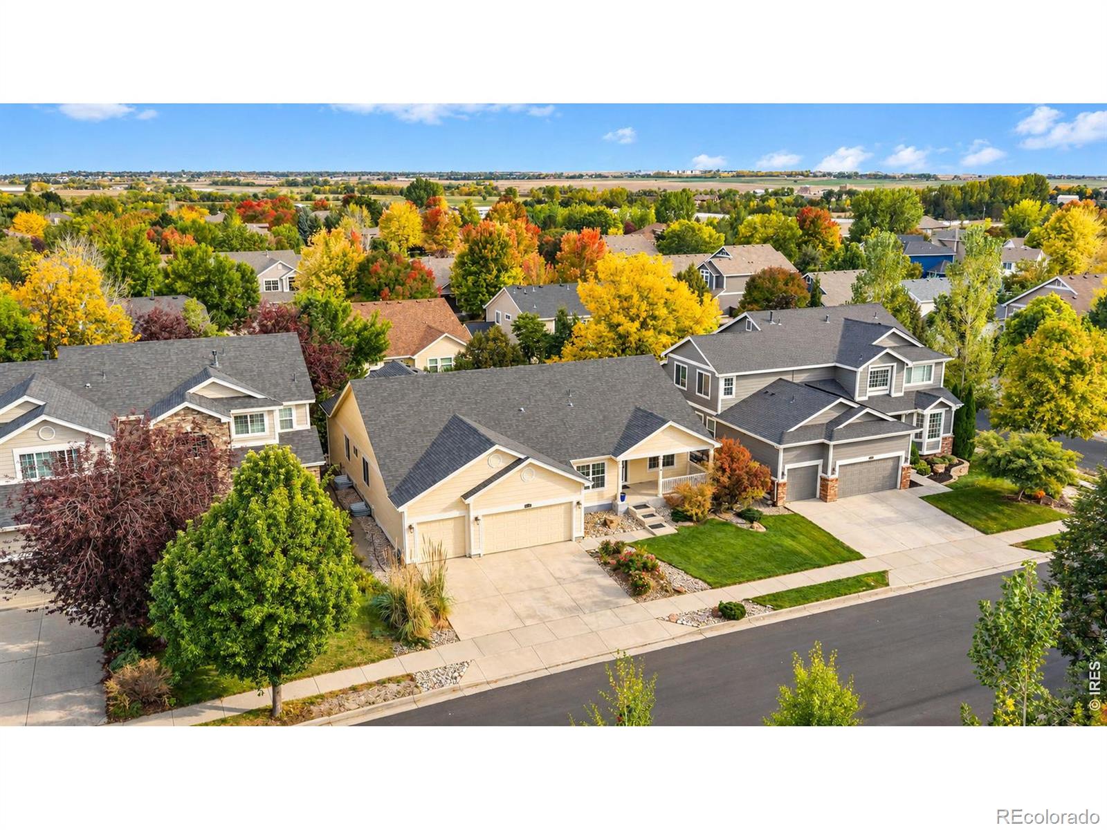 MLS Image #1 for 6408  tilden street,fort collins, Colorado