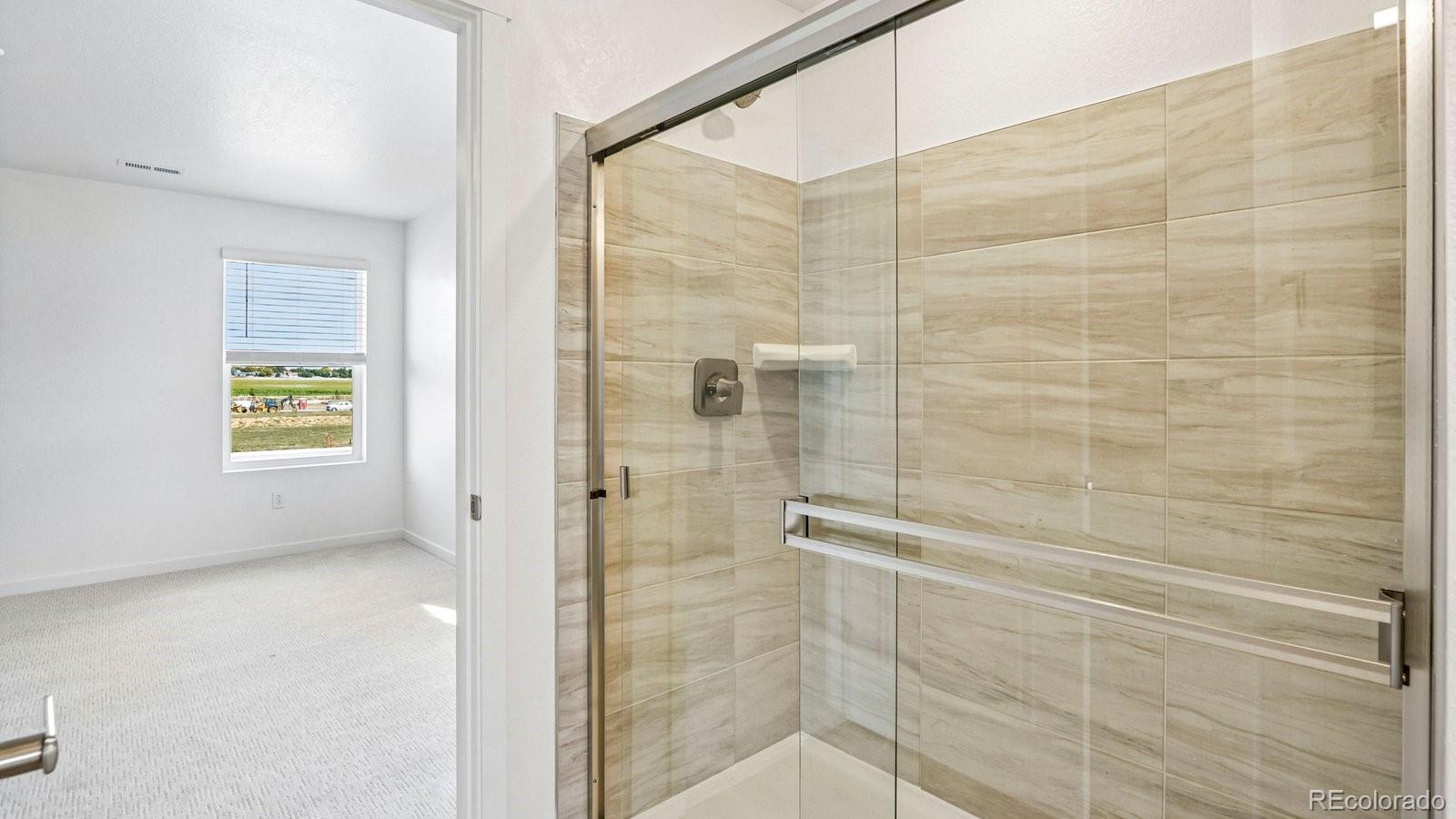 MLS Image #10 for 1205  trilling drive,windsor, Colorado