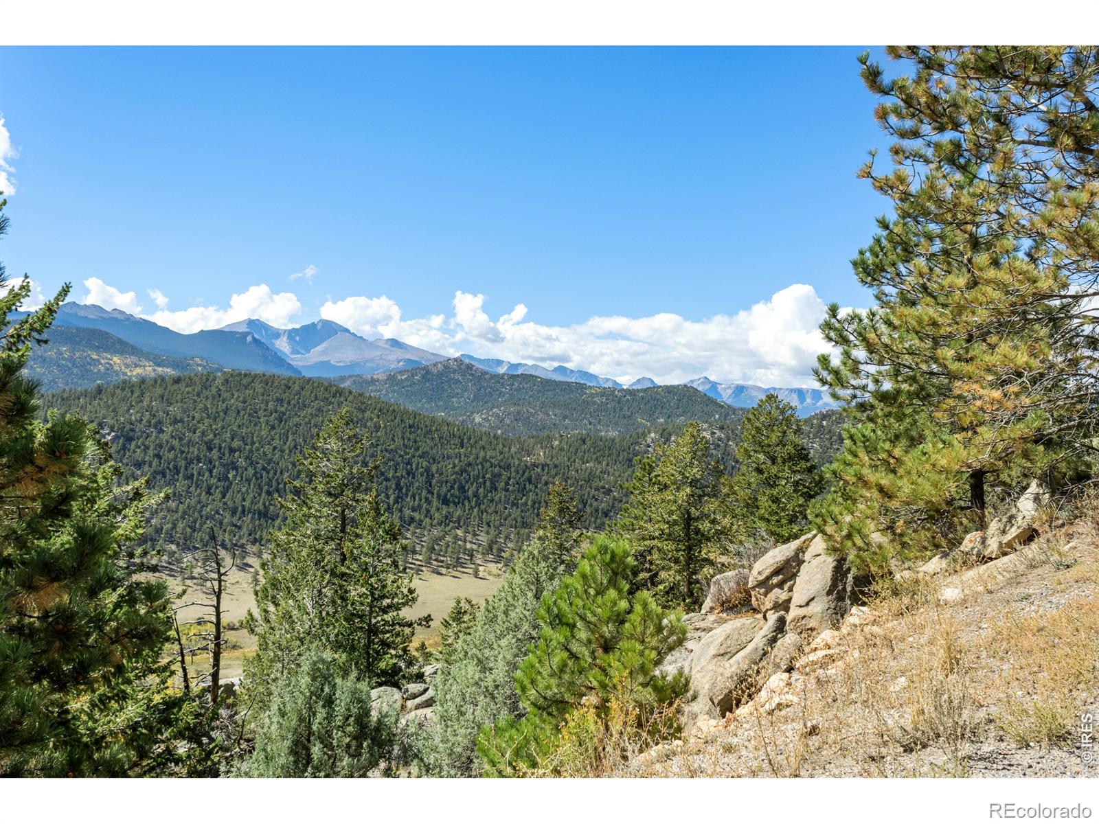 MLS Image #3 for 494  alpine drive,estes park, Colorado