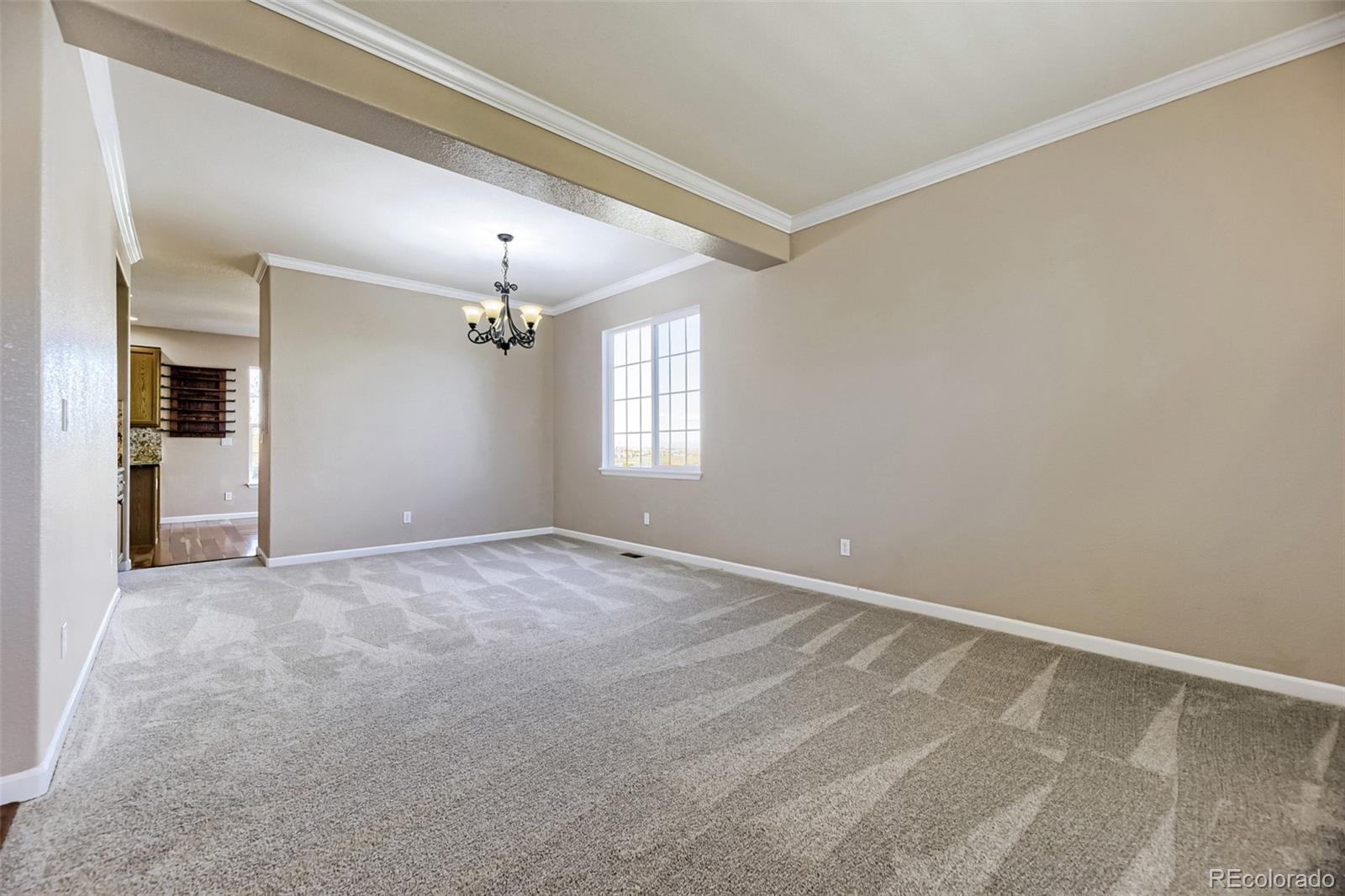 MLS Image #6 for 11751 s rock willow way,parker, Colorado