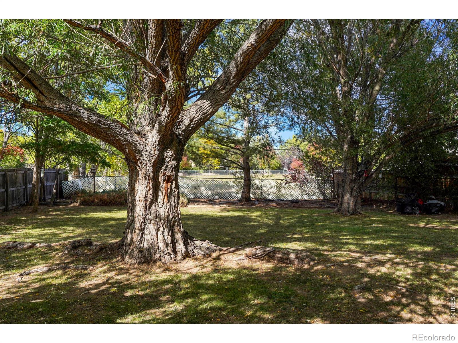MLS Image #14 for 4151  balsa court,loveland, Colorado