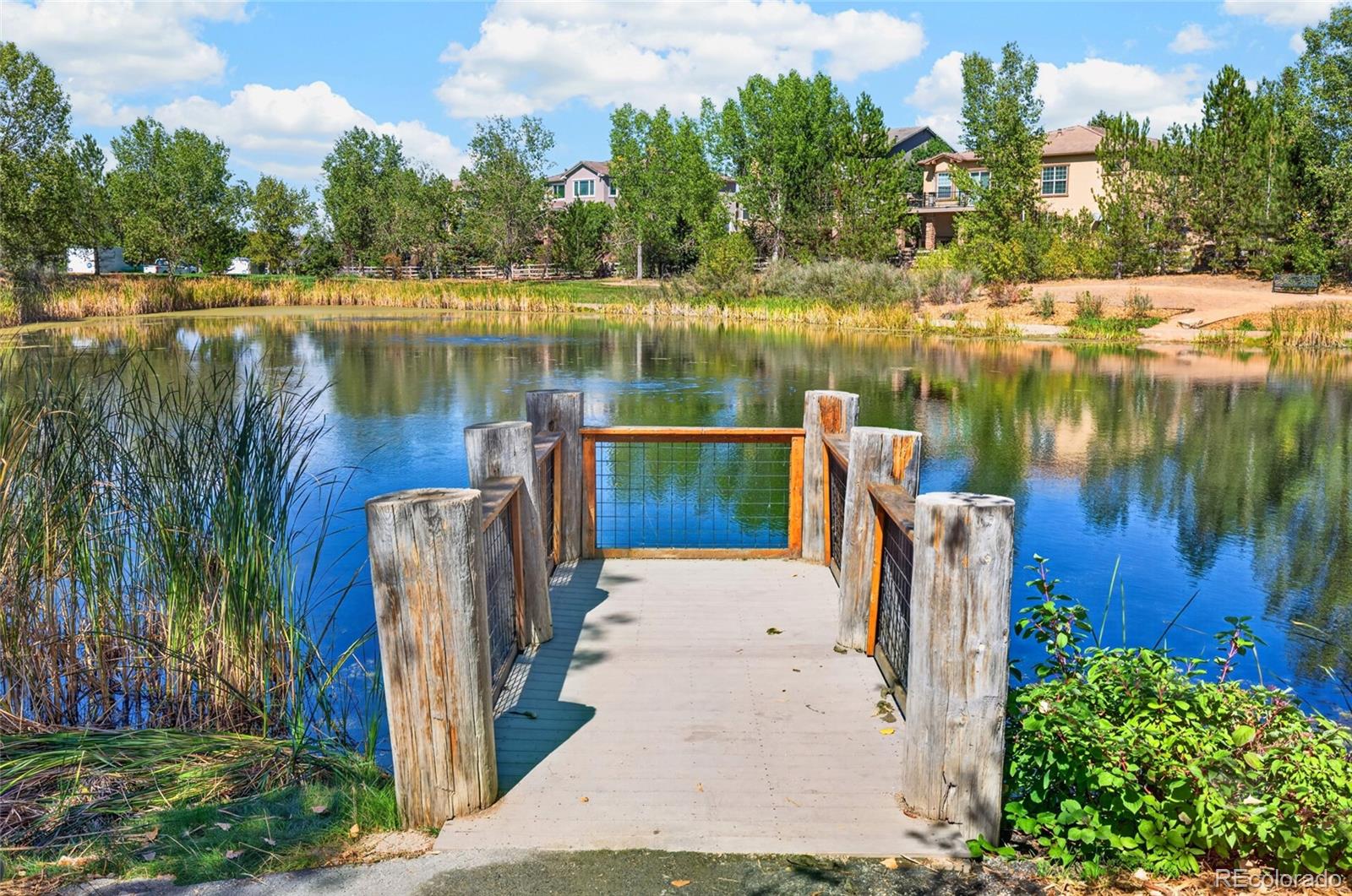MLS Image #41 for 3423  vestal loop,broomfield, Colorado