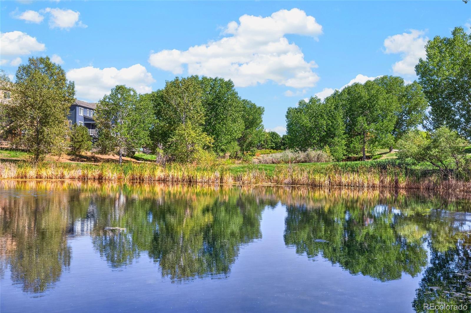 MLS Image #43 for 3423  vestal loop,broomfield, Colorado