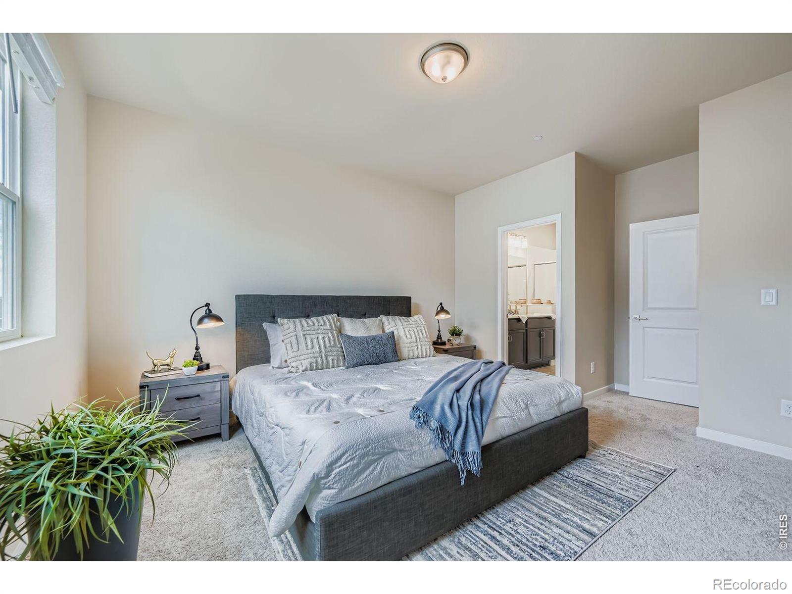 MLS Image #12 for 2837  bear springs circle,longmont, Colorado