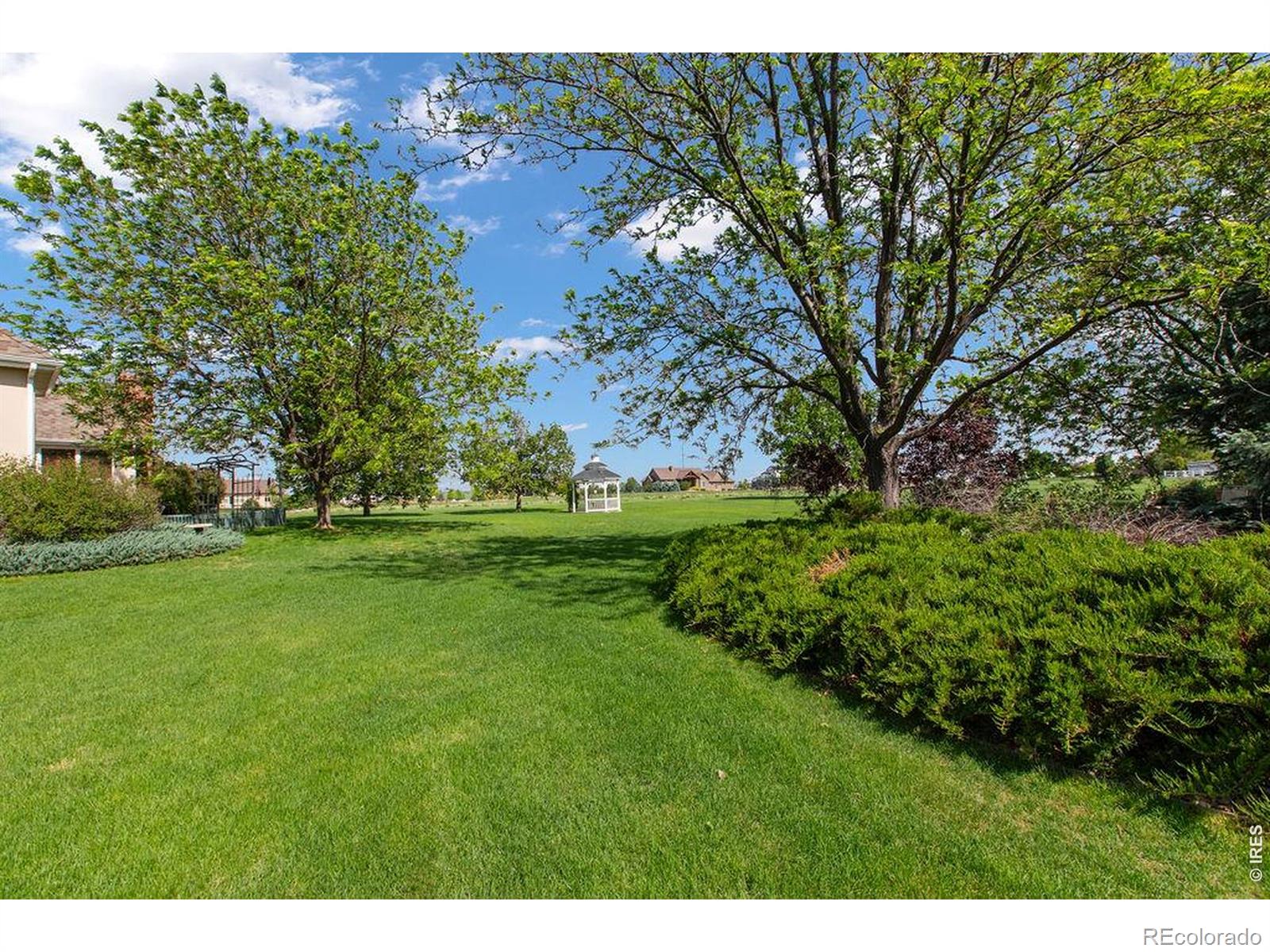MLS Image #36 for 1425  vantage view court,fort collins, Colorado