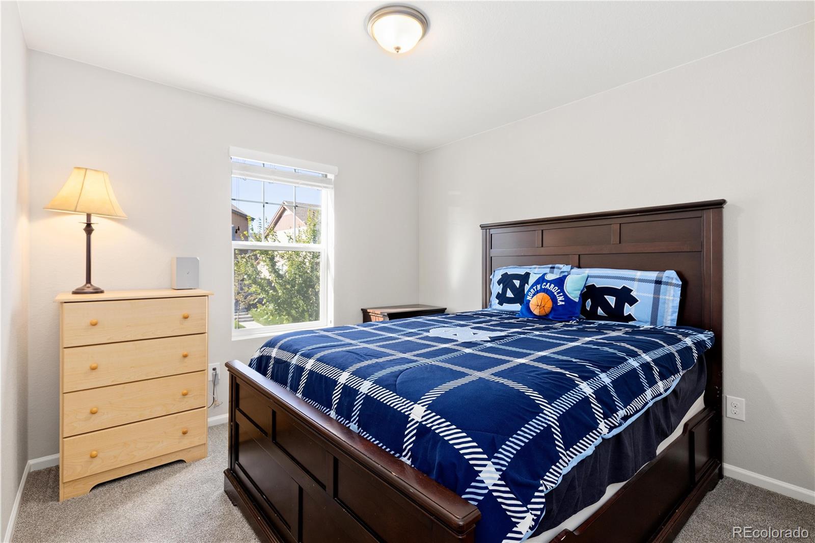 MLS Image #18 for 3332  emily street,castle rock, Colorado
