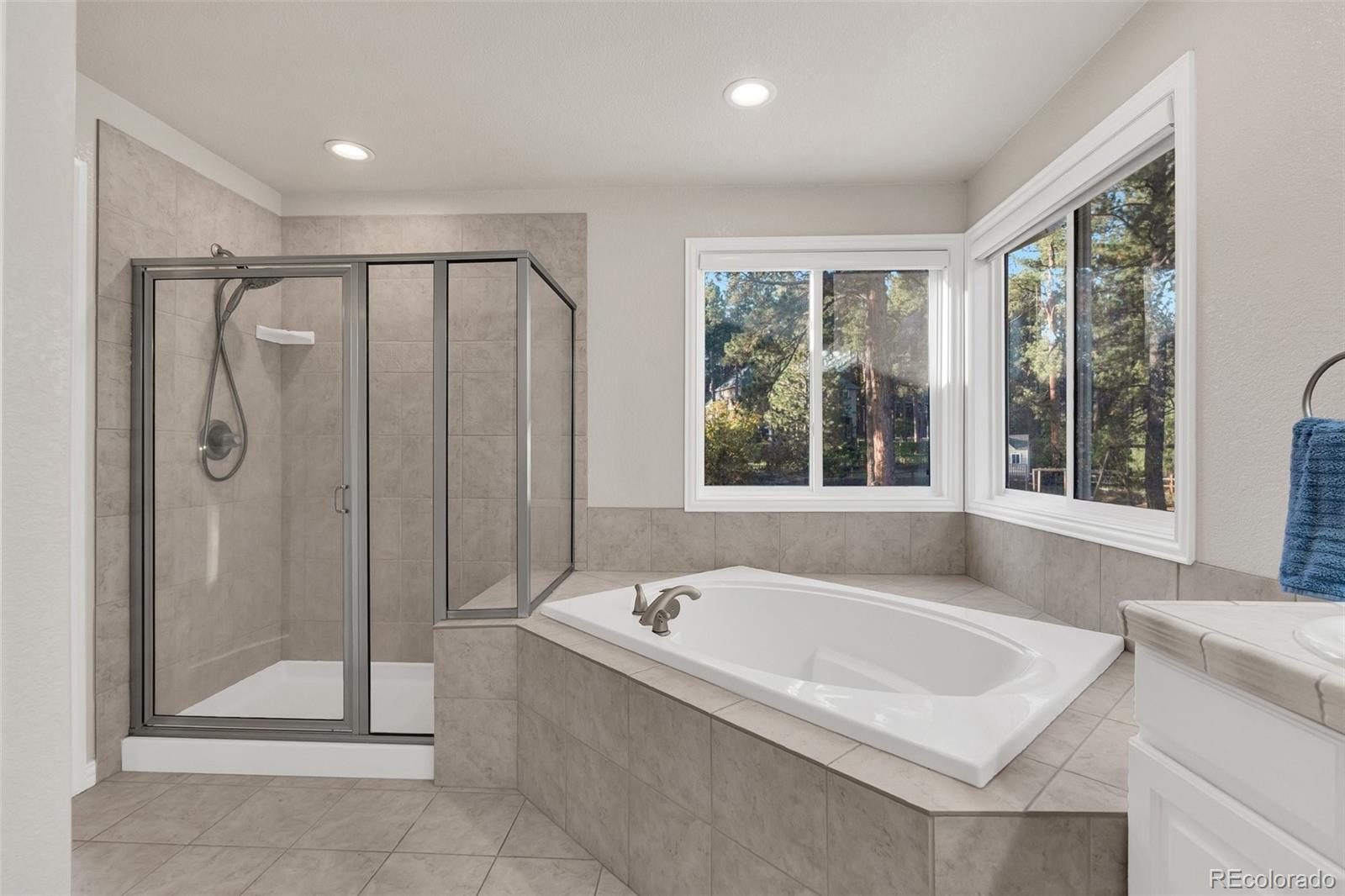 MLS Image #21 for 4200  mohawk drive,larkspur, Colorado