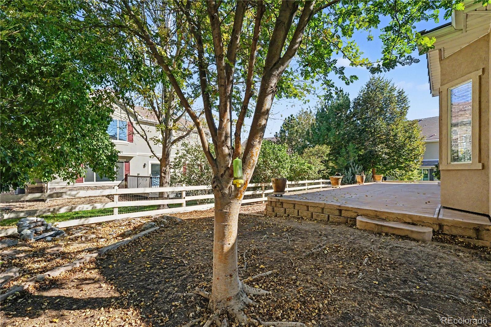MLS Image #24 for 4543  longs court,broomfield, Colorado