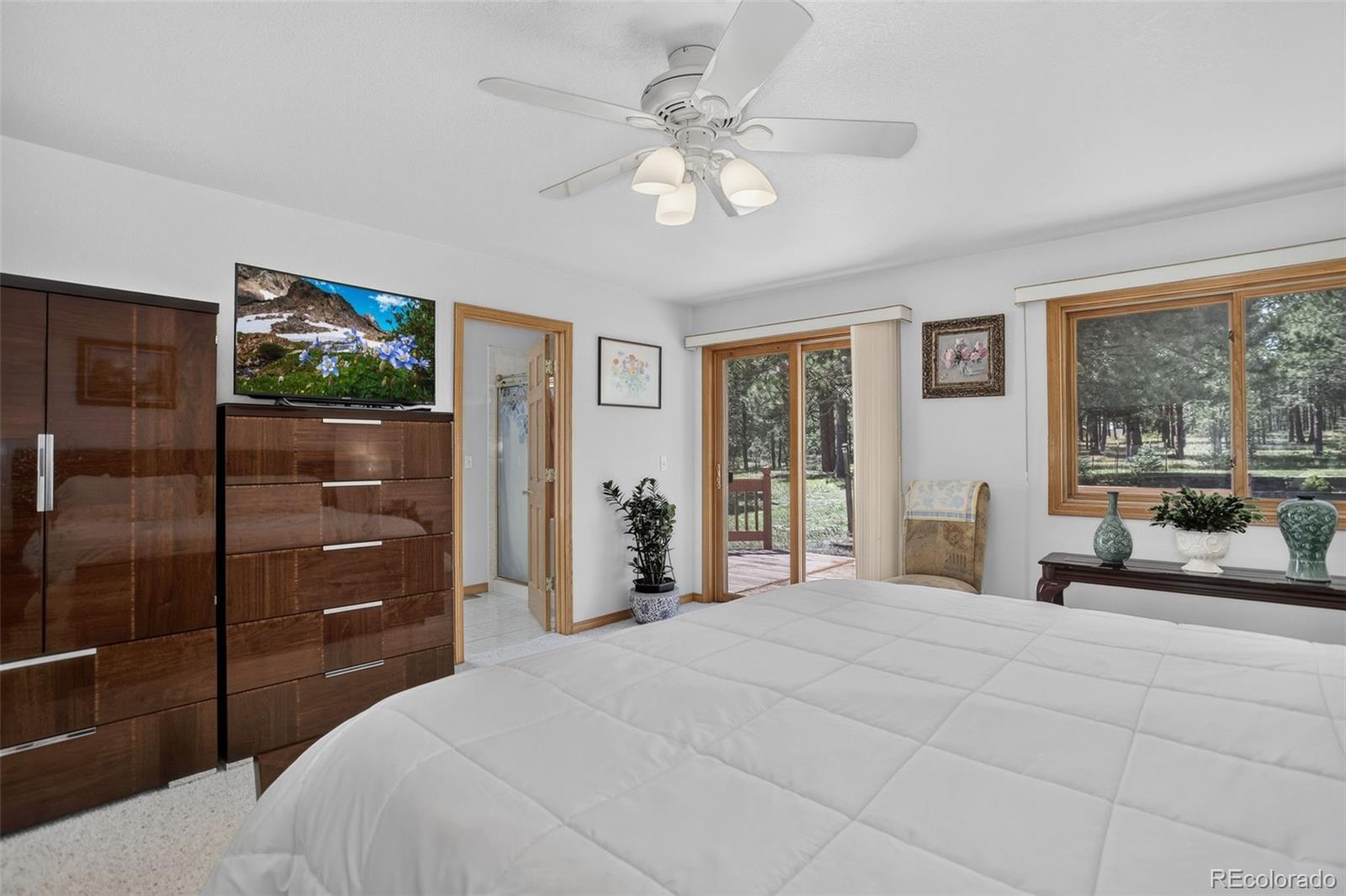 MLS Image #23 for 11570  milford road,elbert, Colorado