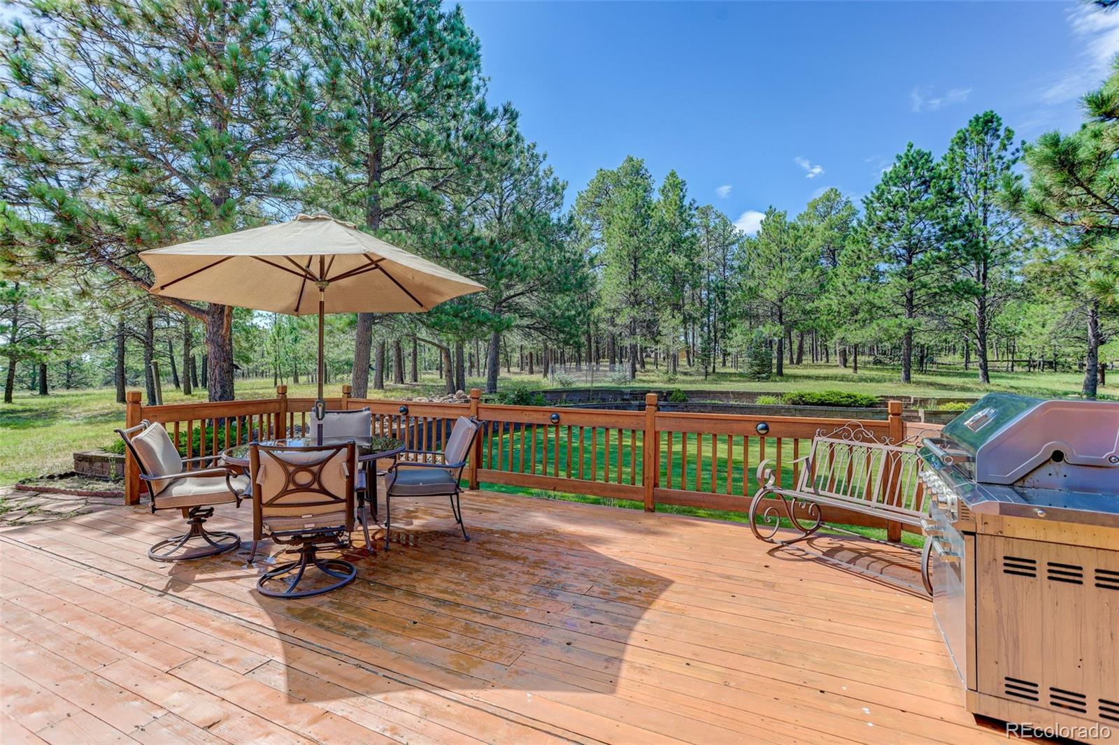 MLS Image #4 for 11570  milford road,elbert, Colorado