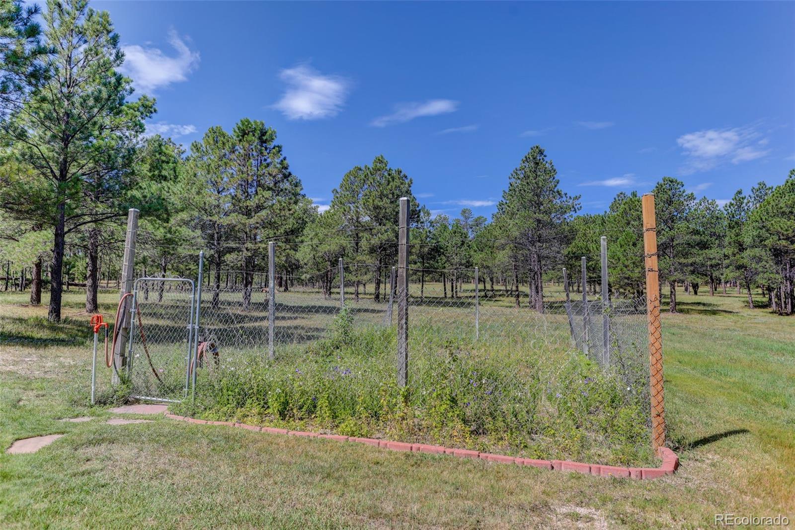 MLS Image #9 for 11570  milford road,elbert, Colorado