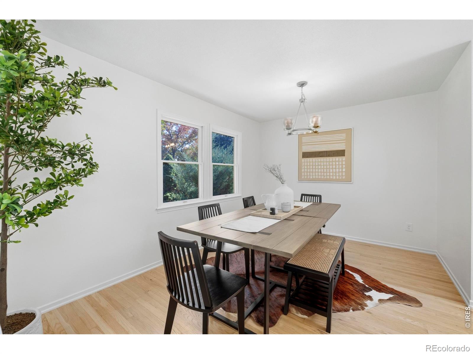 MLS Image #7 for 3312  sam houston circle,fort collins, Colorado