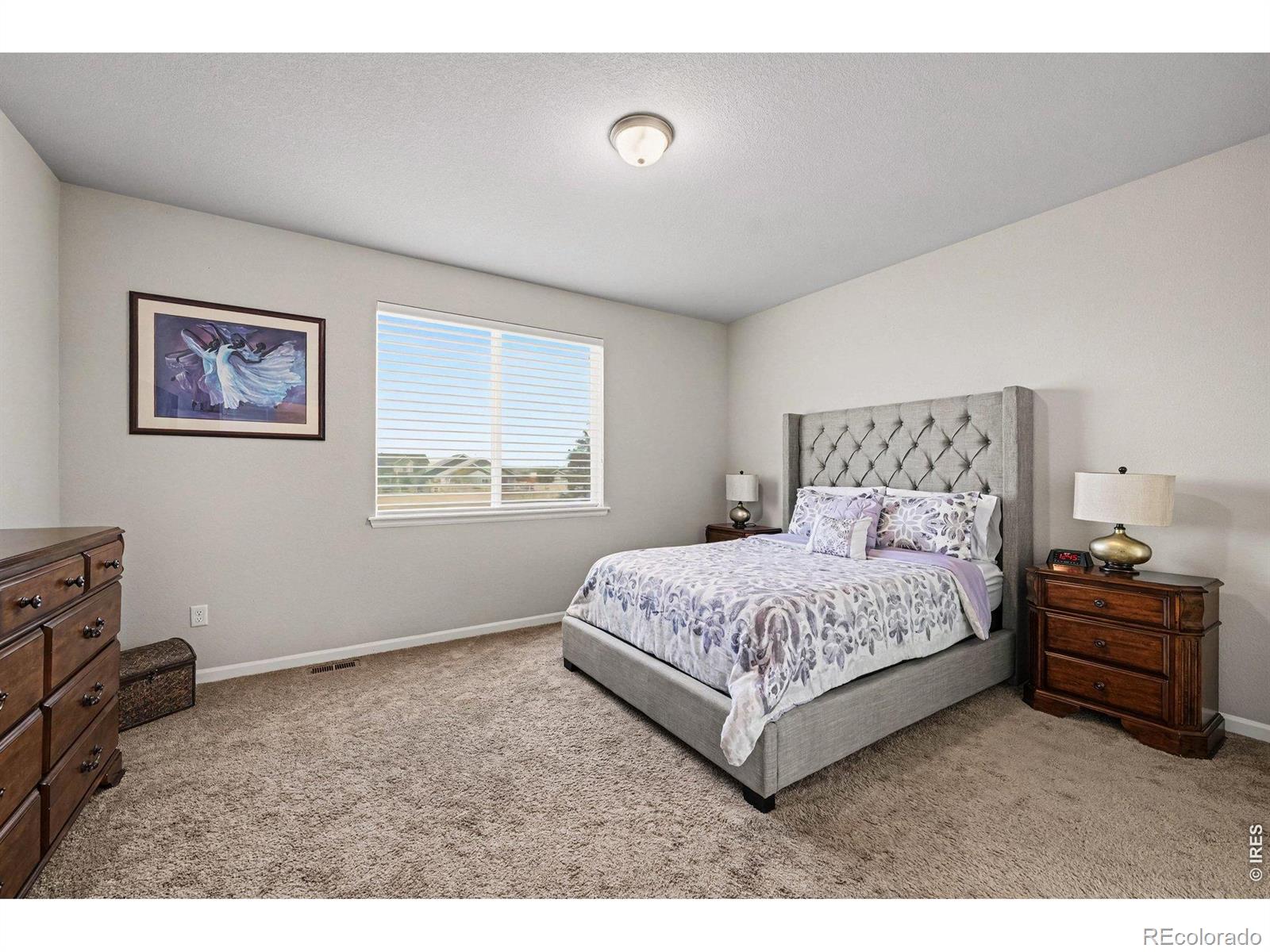 MLS Image #8 for 1680  shoreview parkway,severance, Colorado