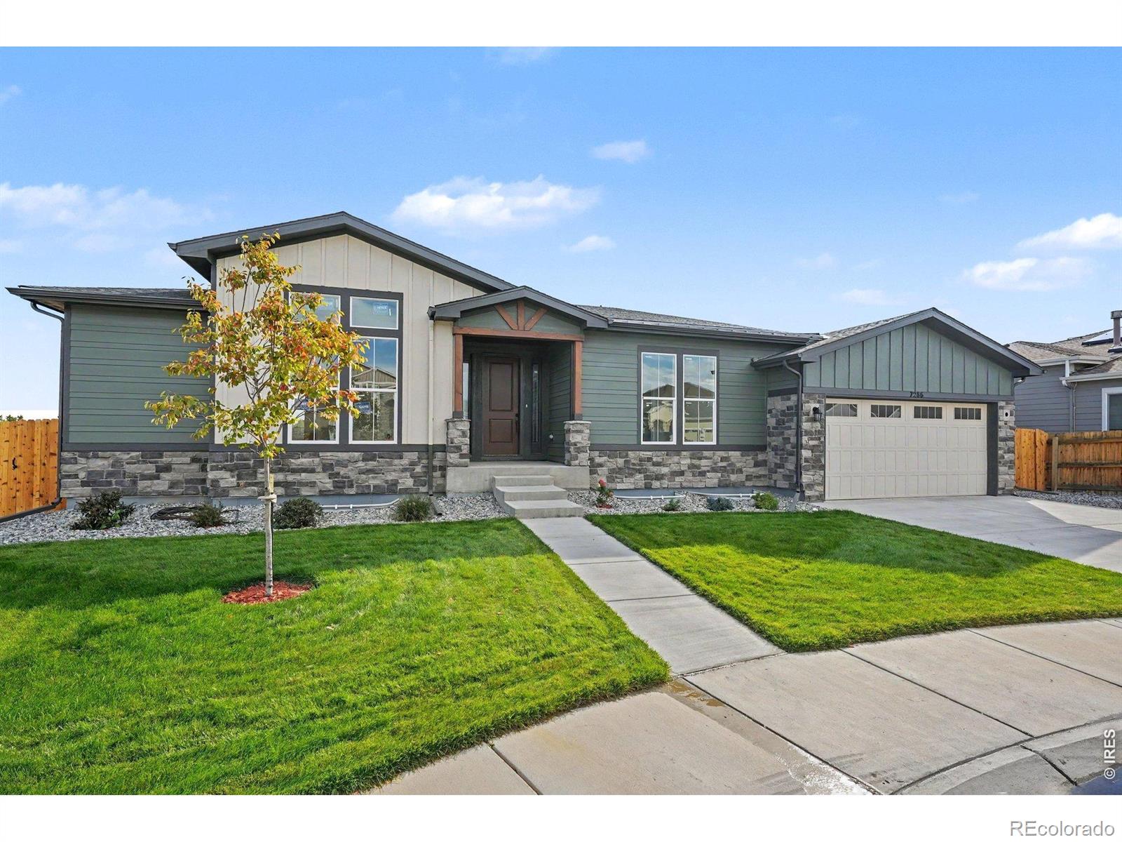 MLS Image #2 for 7286  xenophon court,arvada, Colorado