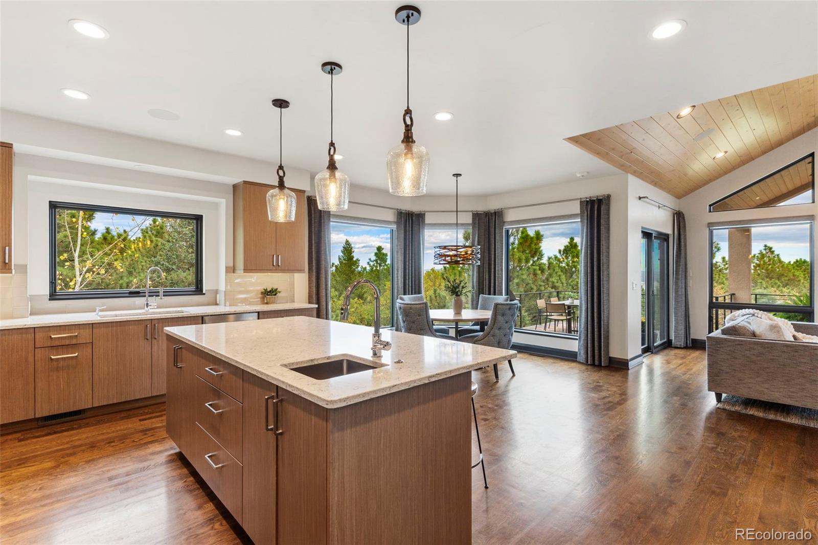 MLS Image #10 for 1644  oakmoor heights,colorado springs, Colorado