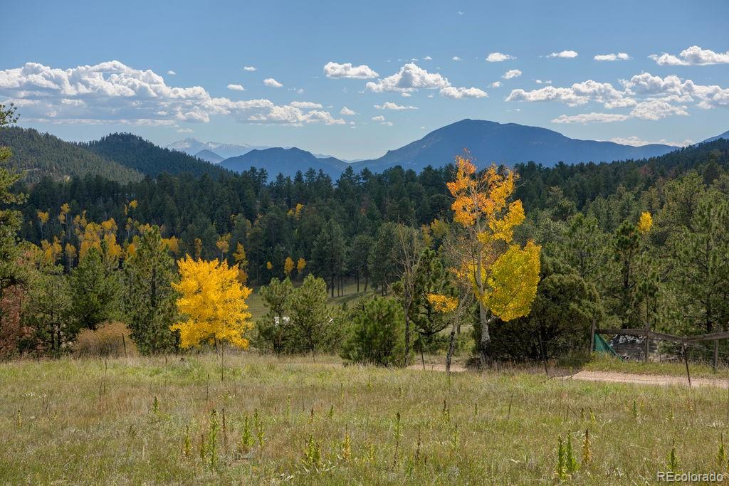MLS Image #1 for 13082 s wamblee valley road,conifer, Colorado