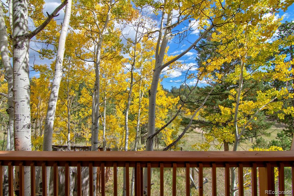 MLS Image #46 for 13082 s wamblee valley road,conifer, Colorado