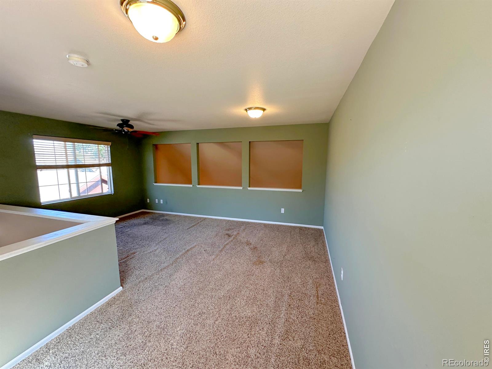 MLS Image #9 for 4638  brenton drive,fort collins, Colorado