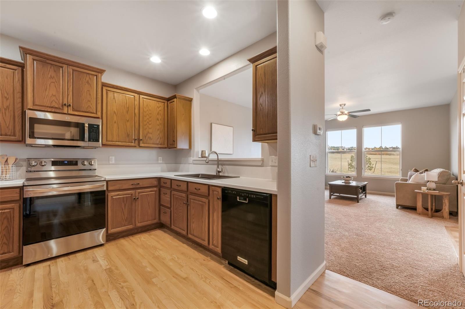 MLS Image #21 for 17099  blue mist grove,monument, Colorado