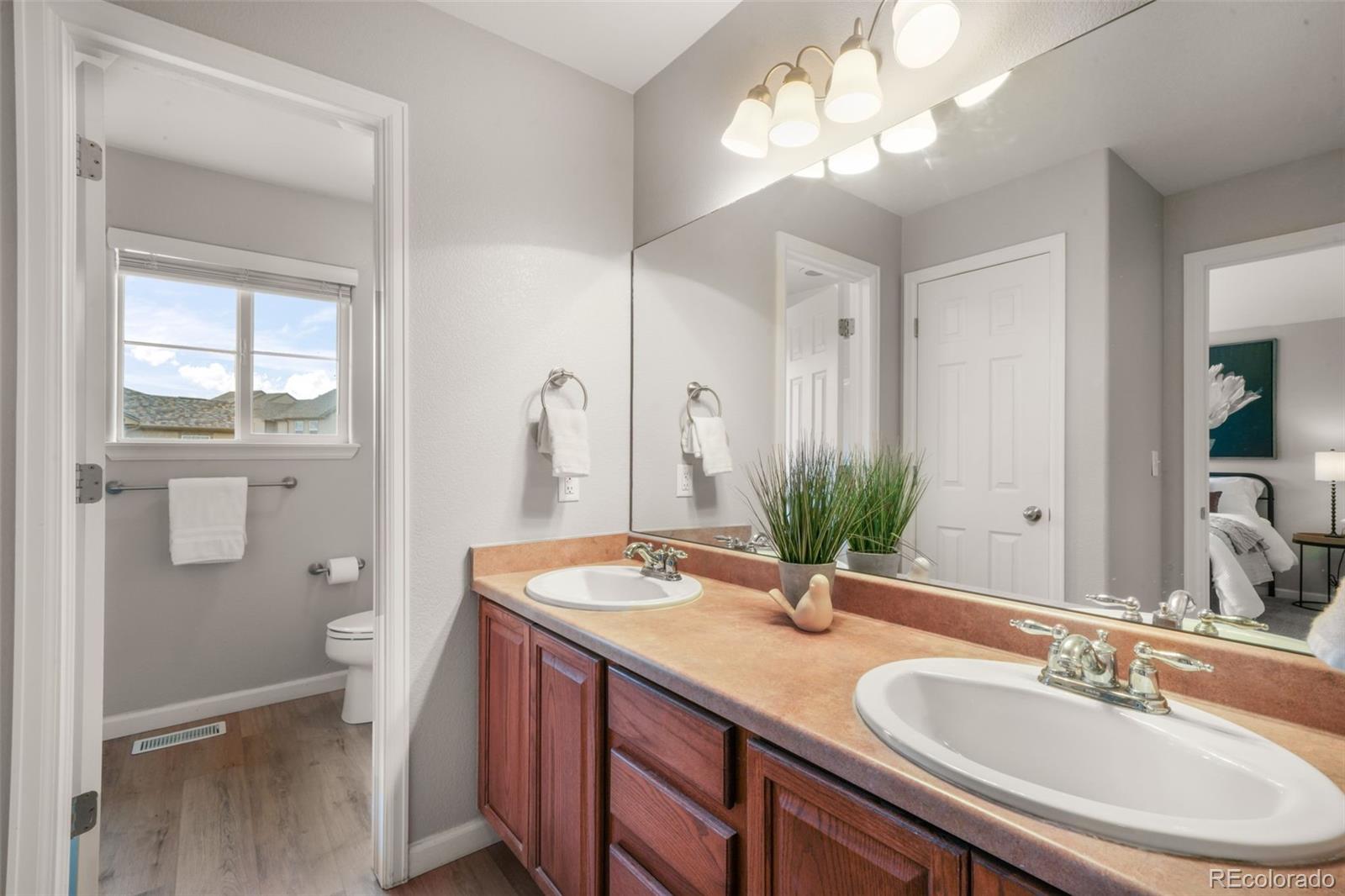 MLS Image #33 for 17099  blue mist grove,monument, Colorado