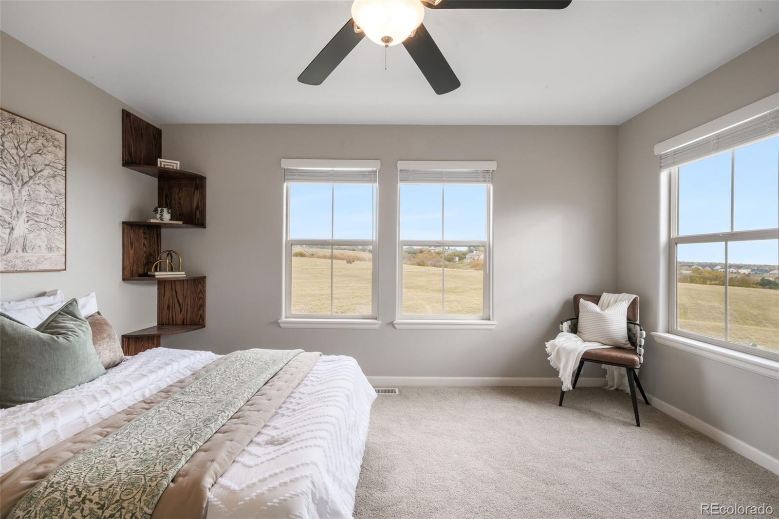 MLS Image #37 for 17099  blue mist grove,monument, Colorado