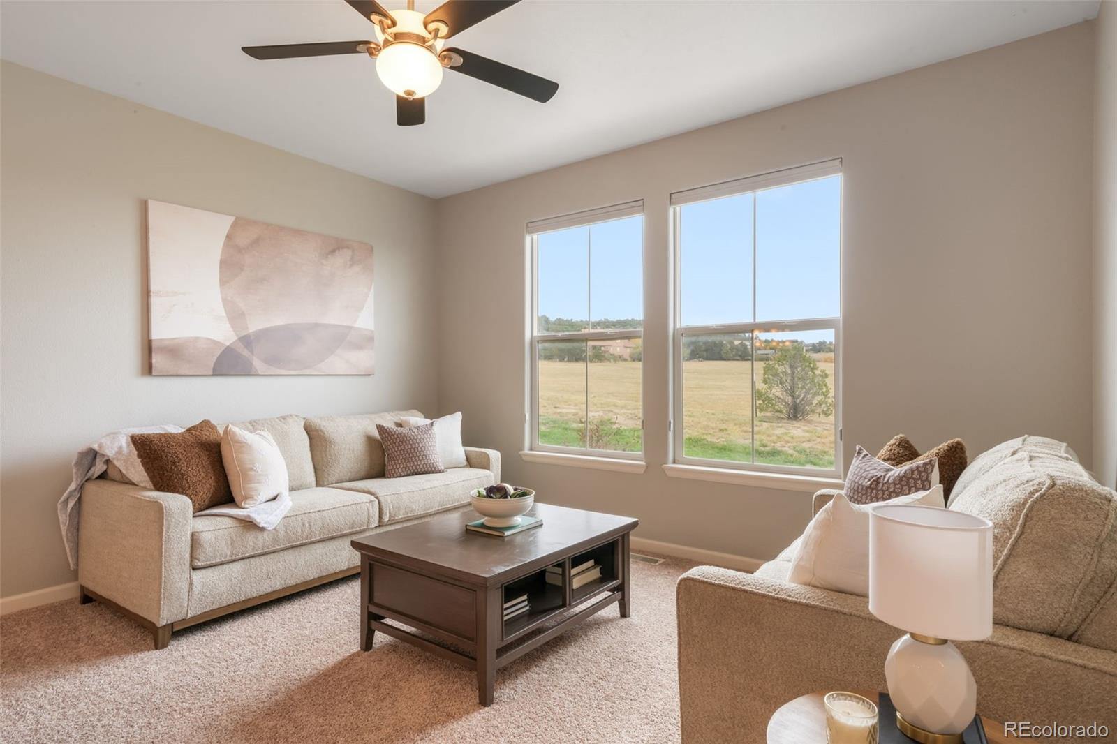 MLS Image #6 for 17099  blue mist grove,monument, Colorado