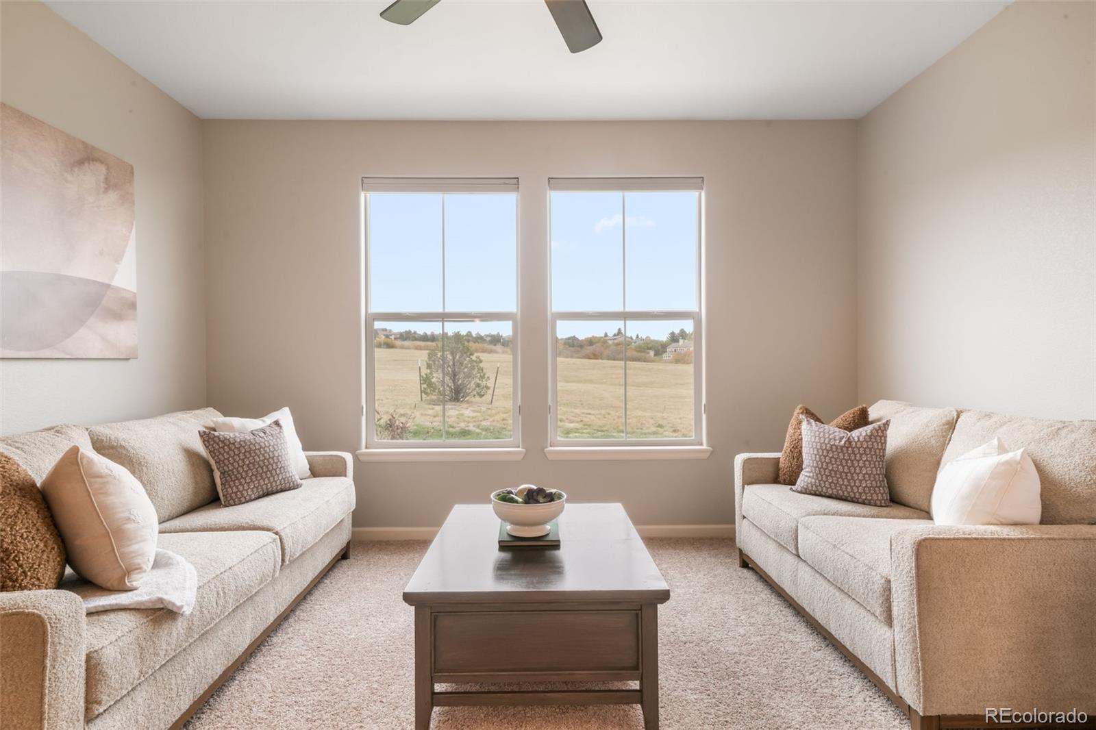 MLS Image #8 for 17099  blue mist grove,monument, Colorado