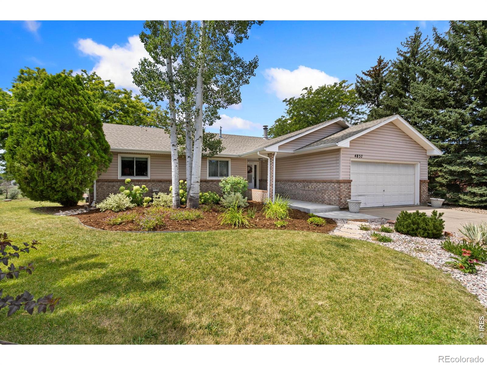 MLS Image #0 for 4837  filbert drive,loveland, Colorado